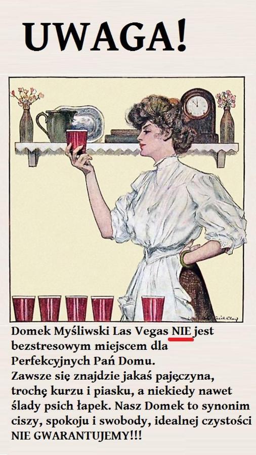 Domek Mysliwski Las Vegas Mierzyn  エクステリア 写真